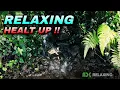 Download Lagu RELAKSASI GEMRICIK AIR MENGALIR UNTUK KESEHATAN KETENANGAN INSOMNIA,MASTERAN BURUNG | ASMR. Relaxing