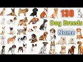Dog Breeds Vocabulary ll 130 Dogs Breeds Names In English With Pictures ll 100 Popular Dogs