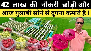 42 लाख की नौकरी छोड़ गांव आकर की ड्रैगन फ्रूट की खेती |  Dragon Fruit Farming in India