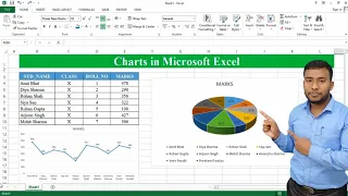 How to Create Charts in Microsoft Excel Pie Chart in Excel Line Chart in MS Excel