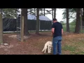 IMG 0276