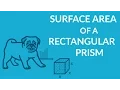 Find the Surface Area of a Rectangular Prism with ease