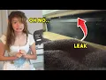 Bonnie finds a disgusting leak in the house