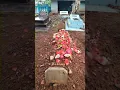 Download Lagu kangen sosok seorang ayah dan Kakung 😭😭