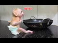 Lagu So Sweet! CUTIS Rushes to Help Baby Monkey When He’s Hungry