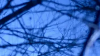 christian loeffler feelharmonia feat gry