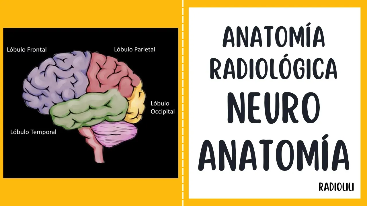 Anatomía Radiológica: Neuroanatomía.
