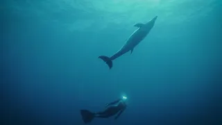 video_image