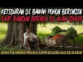Download Lagu PENJUAL SAYUR KETIDURAN DI BAWAH POHON BERINGIN SAAT BANGUN DI ALAM GHAIB - cerita misteri