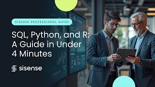SQL Python and R A Guide In Under 4 Minutes Sisense Professional Guide