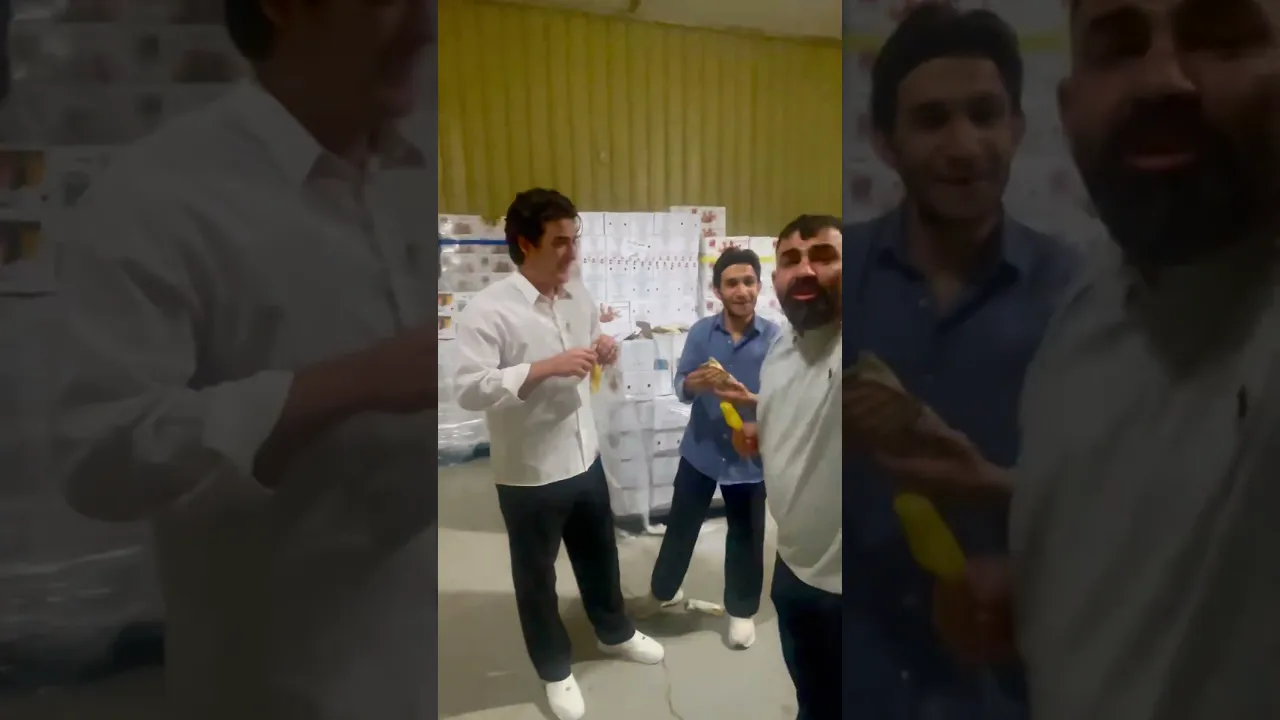 10 سيارات بس بل بصره 😳