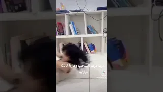 ترند السحب Shorts 