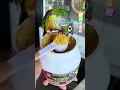 Download Lagu Feed a spoonful of wet eggs to bird treasure every day. The chubby bird treasure is very suitabl