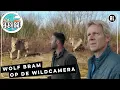 Lagu Wolven op vliegbasis Soesterberg | TV | Vroege Vogels