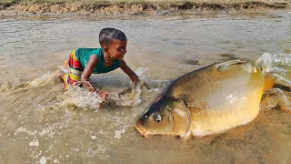 Amazing Traditional Boy Fish Catching By Hand in Water | Amazing Hand Fishing Video #Fish