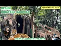 Download Lagu UPDATE‼️KEBUN BINATANG RAGUNAN 2025 | KEBUN BINATANG RAGUNAN JAKARTA | INFO LENGKAP TIKET DAN WAHANA