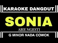 Download Lagu SONIA - ABIE NGESTI | KARAOKE DANGDUT MANUAL PA700 TERBARU 2023 NADA COWOK (SHELLA CHANNEL)