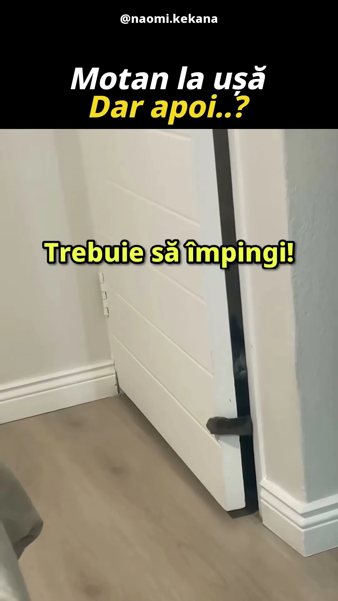 Ușa Se Împinge, Motane! 😹
