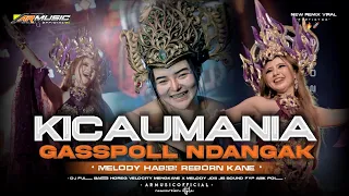 dj kicau mania viral tiktok gaspol ndangak ndangak melodyhabibi kicau mania terbaru armusicofficial