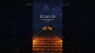 فقلت استغفروا ربكم إنه كان غفارا سورة نوح القارئ شريف مصطفي 