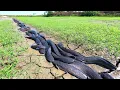 Download Lagu Episode #202 Top Amazing Video! a lot of catch fish