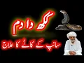 Download Lagu Kakh lage da dam | Sanp ke dasne ka ilaj | Snake ke katne ka ilaaj | Saanp ke kaate ka wazifa |Totka