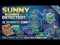 How to check whether a number is Sunny number or not