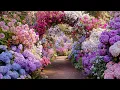 Download Lagu Прекрасная музыка🌺Прекрасные цветы🌿Прекрасные мелодии, от которых мурашки по коже, Сергей Грищук