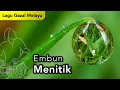 Download Lagu Lagu Gazal Melayu Embun Menitik