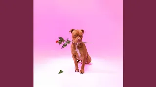 Zee Nxumalo TBO Ngisakuthanda Official Audio 