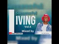Download Lagu SUCCESSFUL LIVING VOL.04 MIXED BY DE SKHUMBA