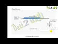 The C Input Output Stream Object Oriented Programming with C ABS College BRABU Muzaffarpur