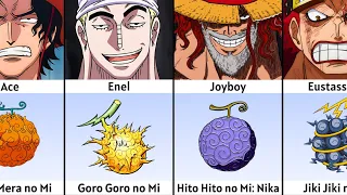 All Devil Fruits and their Users in One Piece