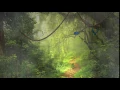 Rainforest animation