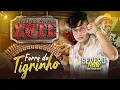 Download Lagu Severo Netto e Forró Pegada Show - Forró do Tigrinho (As Melhores no Xote)