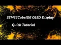 STM32 OLED Tutorial