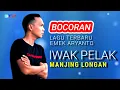 Download Lagu LAGU TARLING CIREBON || IWAK PELAK MANJING LONGAN -  Emek Aryanto - Bocoran #LaguTerbaruEmekAryanto