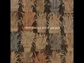 Autumn Town Leaves - Iron & Wine