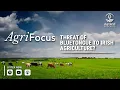 How serious is the threat of bluetongue to Irish agriculture