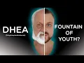 Download Lagu DHEA Supplementation | Fountain of Youth | Testosterone | Weight loss | Does it work?