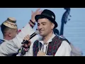 Download Lagu Beu horincă, sting cu bere - Deți Iuga \u0026 Orchestra Ansamblului Național ,,Transilvania’’