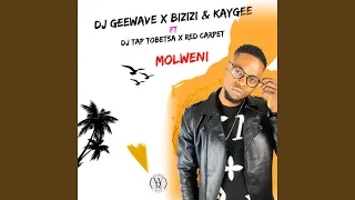 molweni feat dj tap tobetsa red carpet 