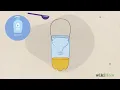 How to Make a Bee Trap