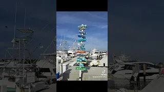 #florida #sunshine #sailing