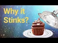 Got Really Smelly Poop Here Are The Potential Reasons Why Health