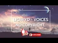 Download Lagu LiQWYD - Voices (No Copyright Music)