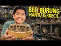 Lagu BELI BURUNG HANTU KECIL DI PASAR HEWAN SUKAHAJI TERBESAR BANDUNG! BANYAK PILIHAN! APA D1L1NDUNG1?