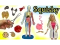 Squishy Human Anatomy with Scientist Teacher Student