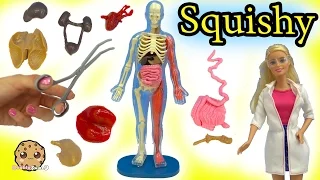squishy human anatomy with scientist teacher u0026 student video