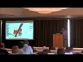 SESSION Large models - Spatial data structures for accelerated 3D visibility computation to
